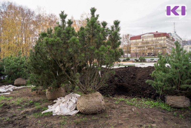 В Коми план по благоустройству общественных территорий выполнен более чем на 90%