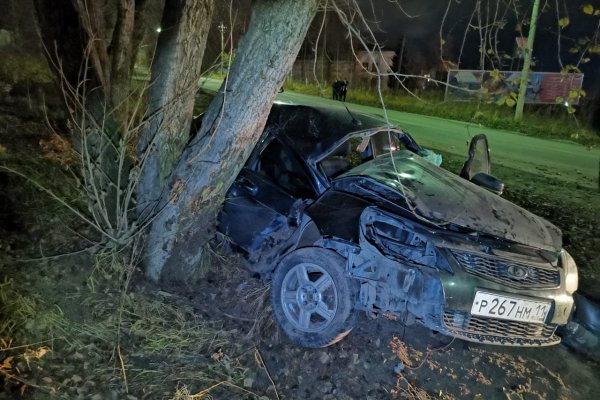 В Сосногорске молодой водитель не справился с управлением и протаранил дерево
