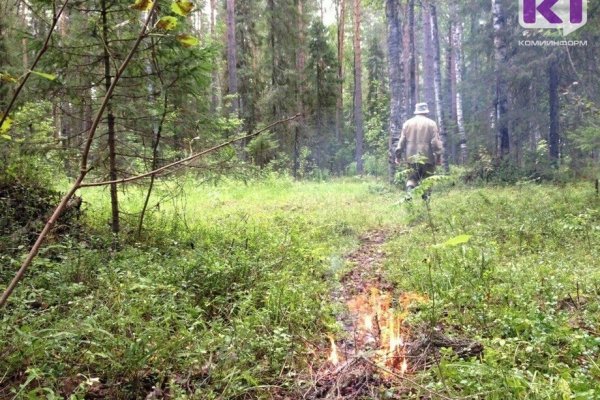 В Княжпогостском районе спасатели выехали на поиски охотника из-за беспокойства родственников
