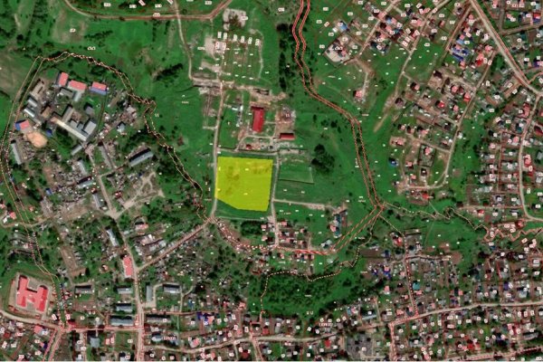 Минимущество Коми сдает в аренду 1,3 гектара земли в Выльгорте