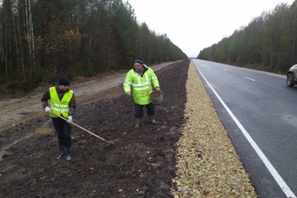 В Прилузском районе завершаются работы по строительству дороги к поселку Кыддзявидзь