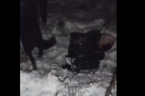 СУСК Коми проверит видео избиения подростка на предмет 