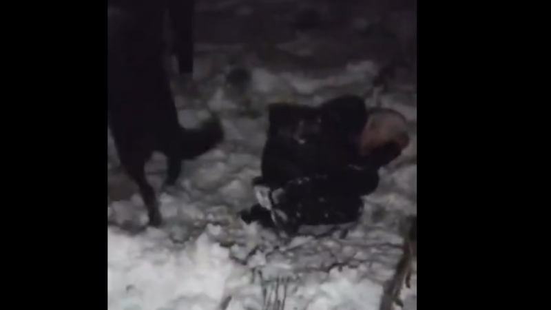 СУСК Коми проверит видео избиения подростка на предмет "инсценировки"