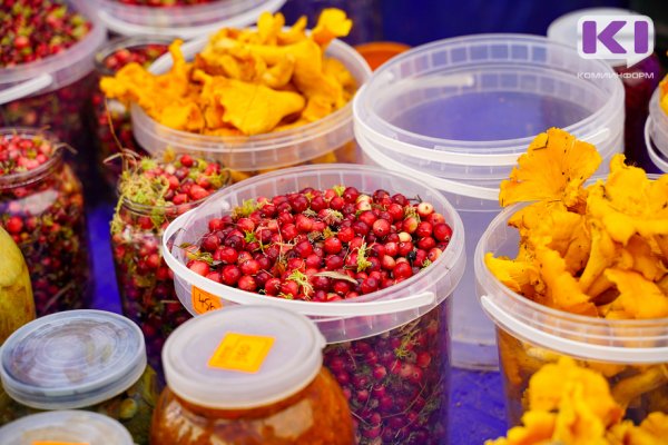 Коми экспортирует иван-чай, грибы и ягоды в Италию, Словакию, Румынию и Литву