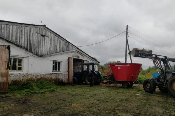 Россельхознадзор Коми не установил факты жестокого обращения с коровами на ферме ООО 