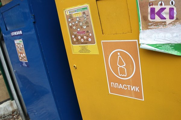 В Воркуте на раздельный сбор мусора потратят 1,3 млн рублей 