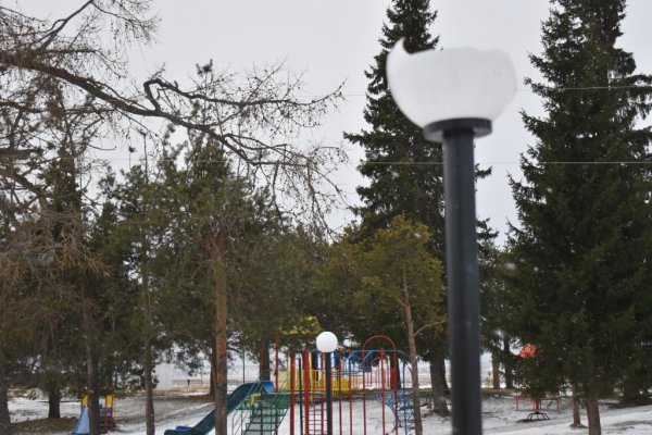 Вандалы разбили 10 новых светильников в Ижемском парке отдыха 