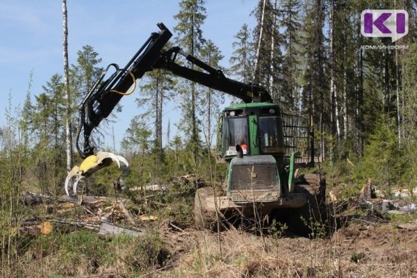 В Коми лесозаготовители должны принимать на работу преимущественно местных жителей - Владимир Уйба