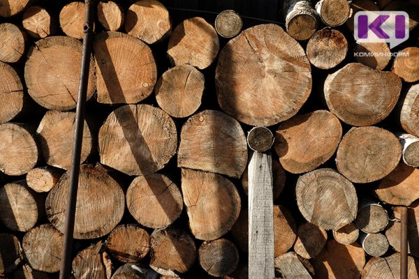 В Коми снизят ставки платы за приобретение древесины для собственных нужд населения