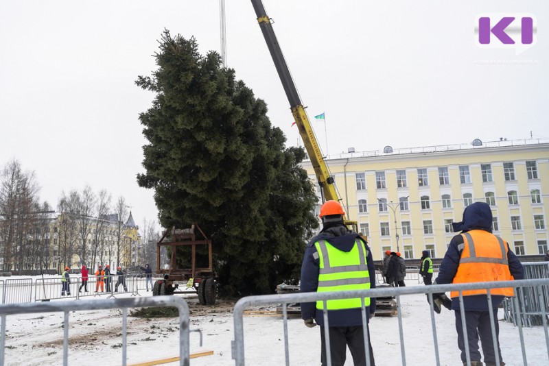 Стефановскую площадь Сыктывкара украсила 48-летняя елка весом более четырех тонн