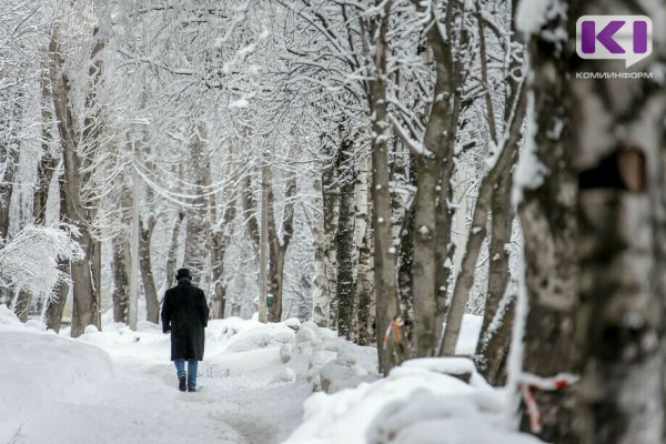 Синоптики Коми рассказали о погоде в декабре