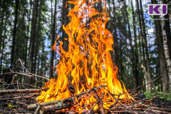В Коми лесные пожары принесли ущерб на сумму 39,9 млн рублей