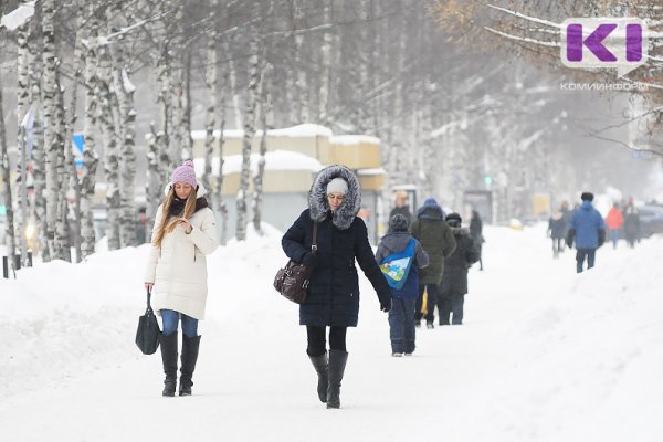 Прогноз погоды в Коми на 16 декабря: -11°С, небольшой снег 