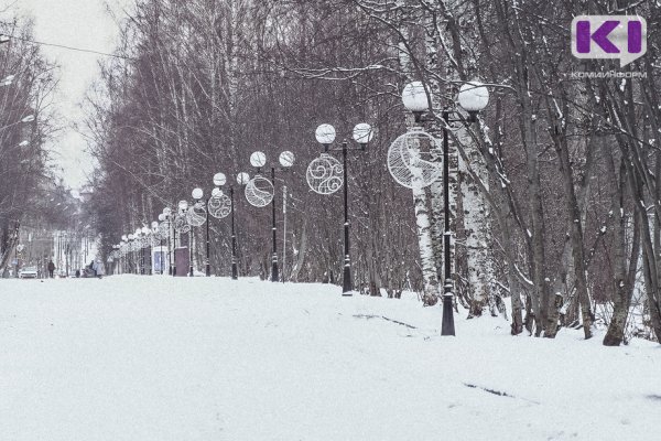 Прогноз погоды в Коми на 26 декабря: в Сыктывкаре снег, в Воркуте мгла