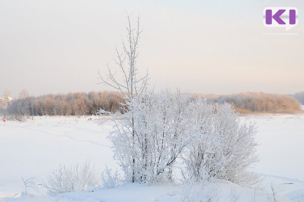 Прогноз погоды в Коми на 28 декабря: северный ветер и снег