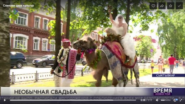 В Коми продолжает снижаться количество браков с иностранцами 