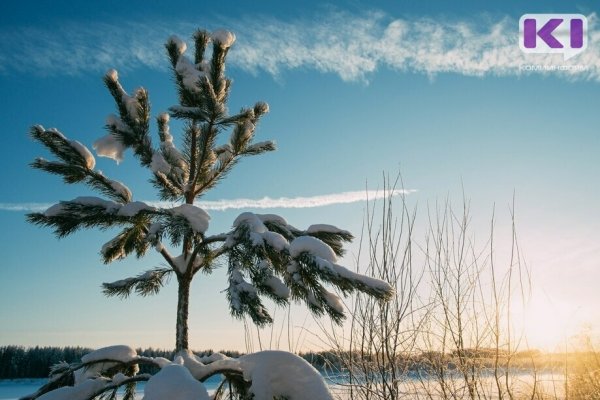 Прогноз погоды в Коми 30 декабря: в Сыктывкаре 