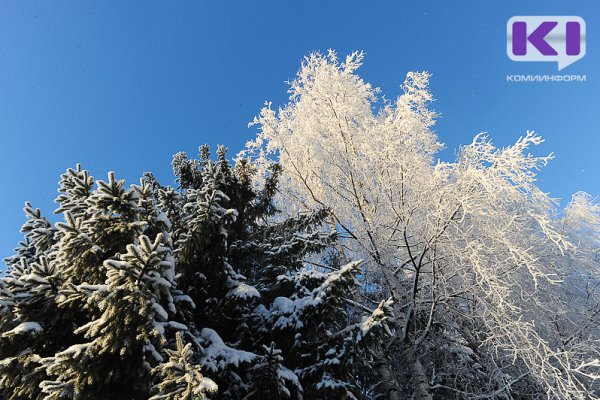 Прогноз погоды в Коми на 11 января: на севере до -37