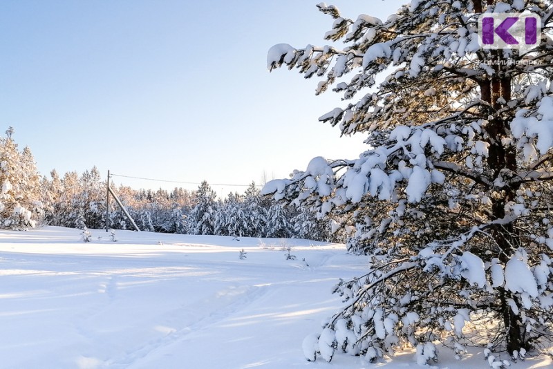 Прогноз погоды в Коми на 13 января: ударят крепкие морозы