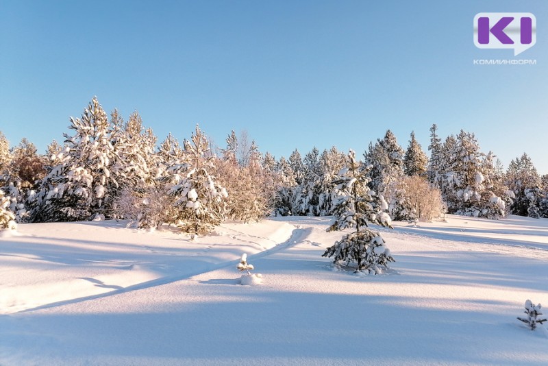 Прогноз погоды в Коми на 14 января: в Воркуте теплее, чем в Сыктывкаре