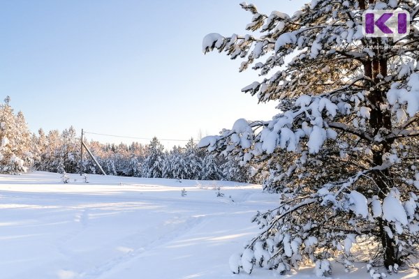 Прогноз погоды в Коми на 15 января: морозы ненадолго отступят