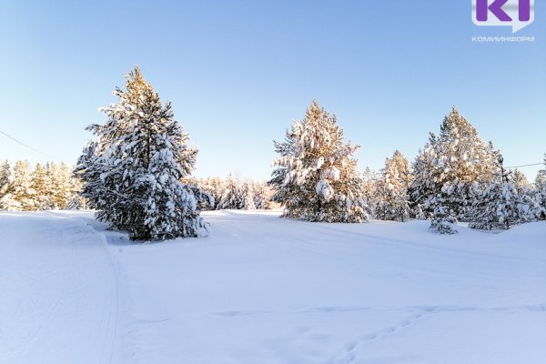 Прогноз погоды в Коми на 16 января: без осадков и -20°С