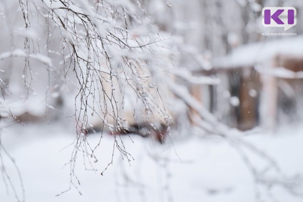 Прогноз погоды в Коми на 19 января: южный ветер растопит северный мороз