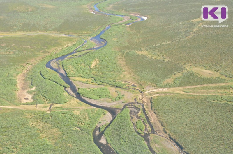 В Коми с 1 июня начнут раздавать "Арктические гектары"