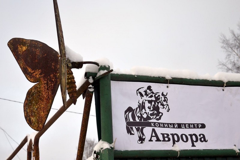 Ущерб от пожара в конном центре "Аврора" предварительно оценили в 3 миллиона рублей 