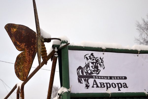 ЦУР помог пострадавшему от пожара конно-спортивному центру Сыктывкара