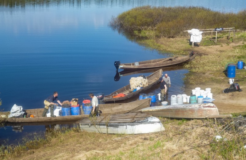 В Арктической зоне Коми заработает ещё один кооператив - "Рыбаки Усть-Цильмы"