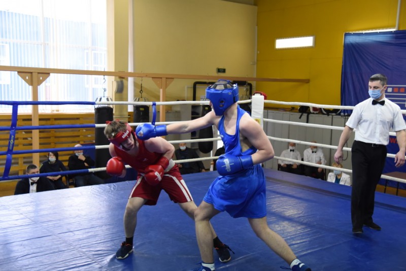 В Сыктывкаре определили сильнейших молодых боксеров Коми