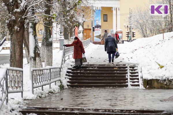 Прогноз погоды в Коми на 26 января: в Воркуте до -27, в южных районах - снег с дождем