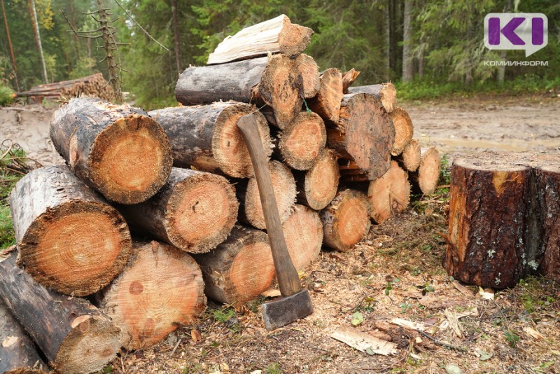В суд направлено уголовное дело о незаконной рубке деревьев в Прилузье