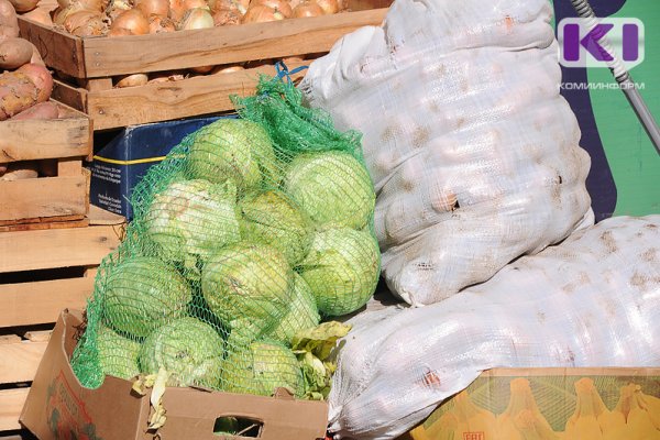 Сбор овощей в Коми за год вырос на 90%