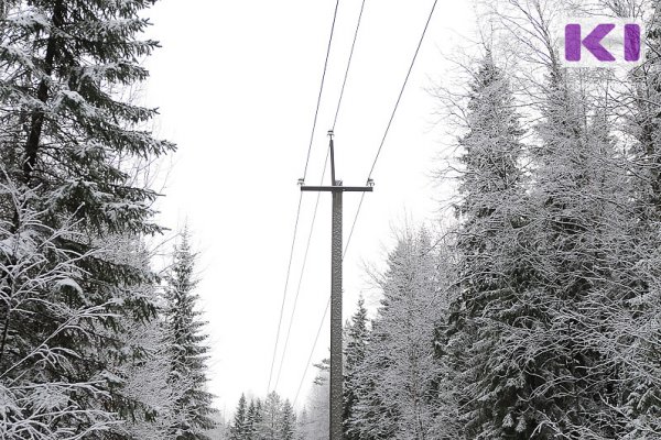 Койгородский район из-за аварии на линии электропередачи остался без света