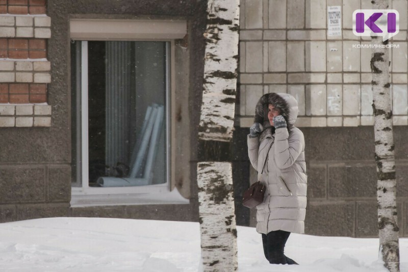 Прогноз погоды по Коми на 2 февраля: снег и порывистый ветер