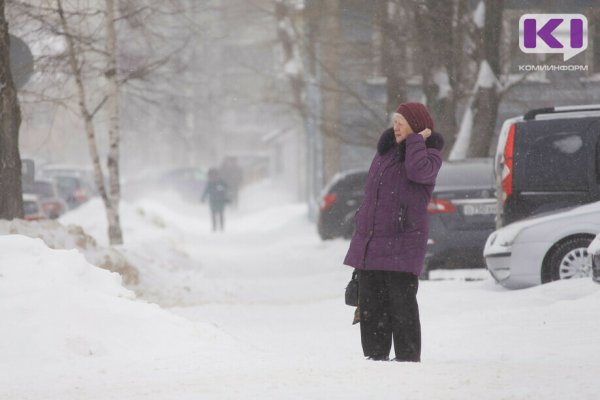 Прогноз погоды в Коми на 6 февраля: метель и северный ветер