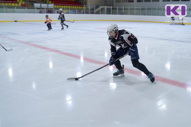 Студенческий хоккей с шайбой в Коми выведут на новый уровень
