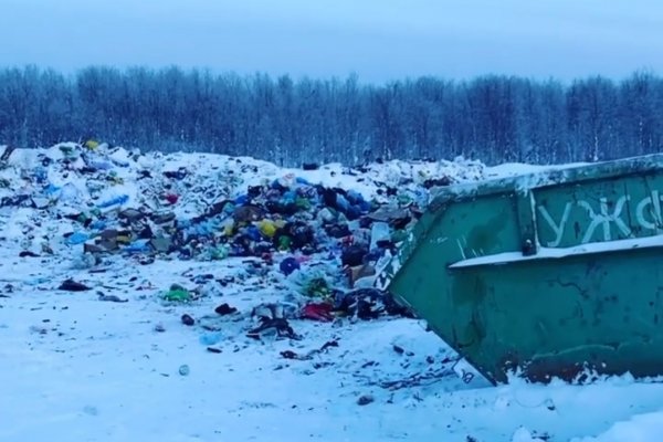 Решать проблему накопления мусора в Усть-Цильме будут комплексно 