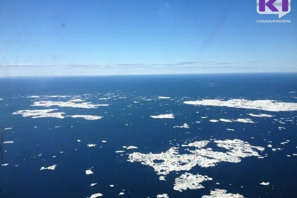 Коми станет площадкой для обсуждения потепления в Арктике 