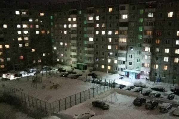 В Общественной палате Коми прокомментировали флешмоб с фонариками в поддержку Навального
