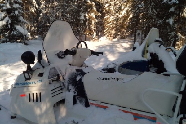 В Койгородском районе возле лесной избушки обнаружено тело охотника 