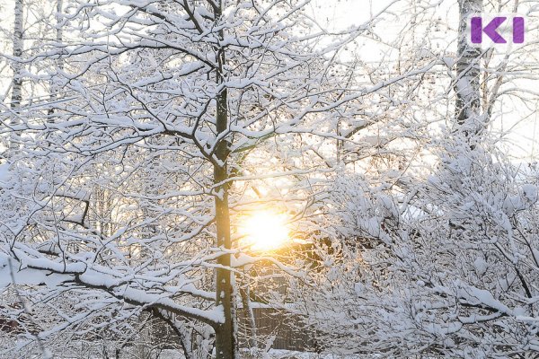 Прогноз погоды в Коми на 24 февраля: север еще в плену морозов