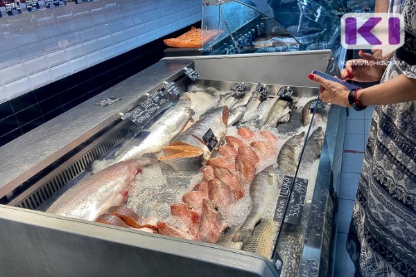 В Коми в минувшем году забраковали 15 партий рыбы и рыбной продукции 
