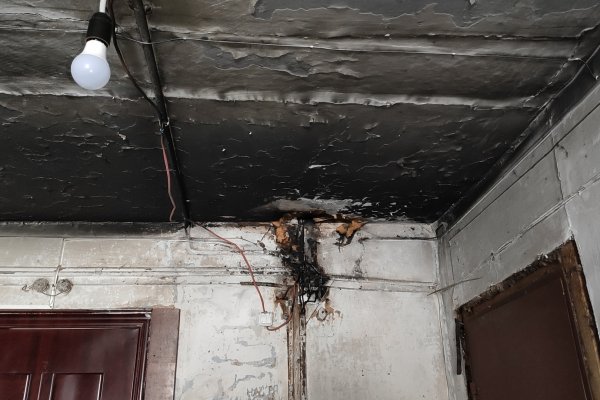 В Сыктывкаре собака спасла жильцов дома от утреннего пожара
