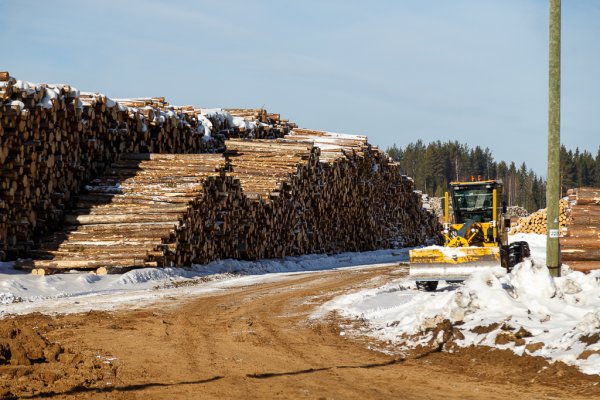 В Коми реализуют новую программу для малого бизнеса 