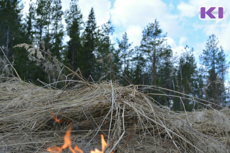 Рослесхоз утвердил сводный план тушения лесных пожаров в Коми

