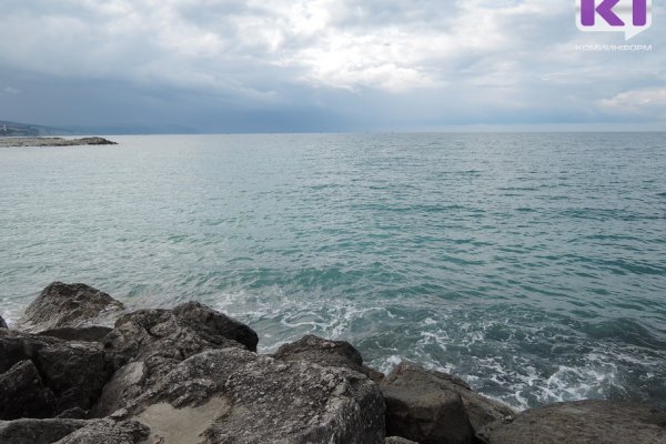 В России возобновляется программа туристического кешбэка