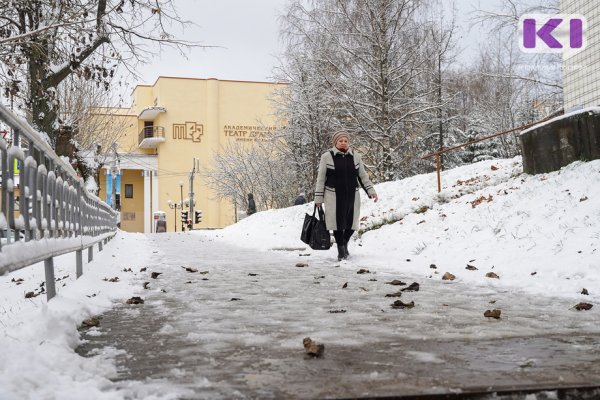 Прогноз погоды в Коми на 18 марта: умеренный снег и гололедица